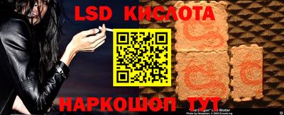 СК Конаково